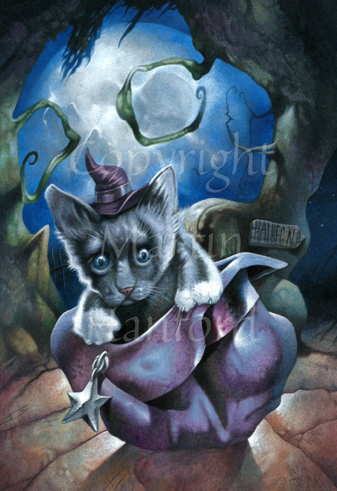 A black cat or kitten sits in an upturned purple hat with a worried expression on its face. A small purple pointed hat sits on its head between its ears. Trees loom overhead, with the faint outline of a glowing skull appearing in the middle. A sign reading "Hatheg-Kla" is attached to one of the trees.