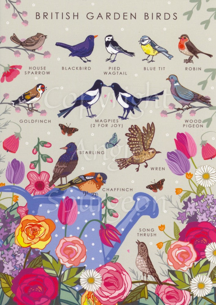 Simple illustrations of birds with the name of the bird underneath, including a pair of magpies, a blackbird, blue tit, robin, etc. At the bottom there’s a blue watering can surrounded by roses, tulips and other flowers. Some of the birds are sitting on it, and a song thrush sings beneath the spout. The background is pale green.