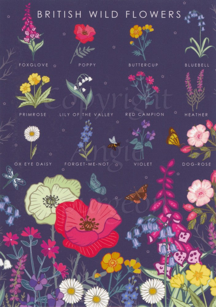 Simple illustrations of flowers with the name of the flower underneath, including a foxglove, primrose, dog rose, red campion etc. Across the bottom are a cluster of flowers including poppies, heather, ox-eye daisy. The background is dark blue.