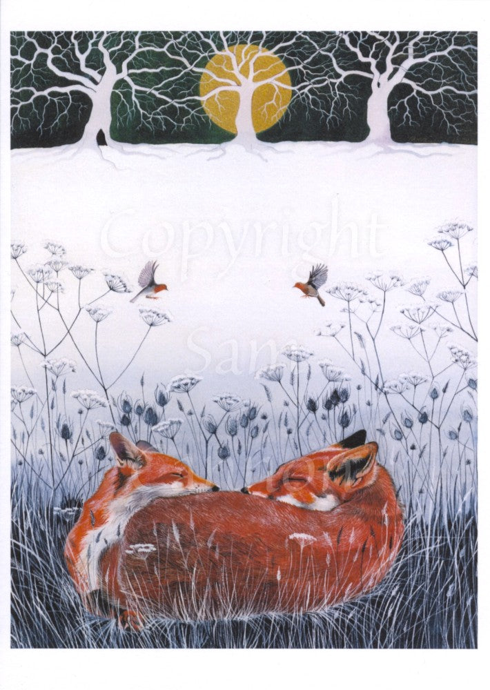 Two red foxes lying in grass curled up against one-another. Their eyes are closed and noses nearly touching. The head of one rests on the rear hip of the other, and the latter's head is turned to lie across their shoulder. Grey-blue skeletal flowers lie beyond, with two robins flying between them. In the distance, a field of snow with three bare trees. A yellow sun rises behind the middle of the three.