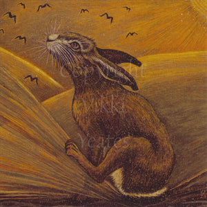 A hare looks toward the sky, thumping one hind leg against the ground. A flock of birds flies over sunlit, golden fields.