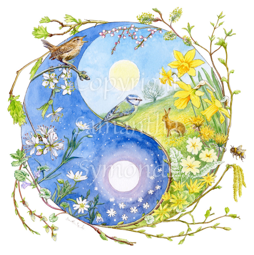 A Yin-Yang shape is surrounded by sprouting branches of native trees. The left hand half of the shape is filled with blue sky, and a large, watery sun forms the traditional 'dot'. White blossom and spring flowers overlay the sky, and a wren sings from a branch at the top. The right hand half features a hare sitting in a grassy field in a sunny day. A pale yellow sun forms the 'dot'. Yellow flowers overlay the scene. A blue tit sits on a branch forming the curve between the two sections.