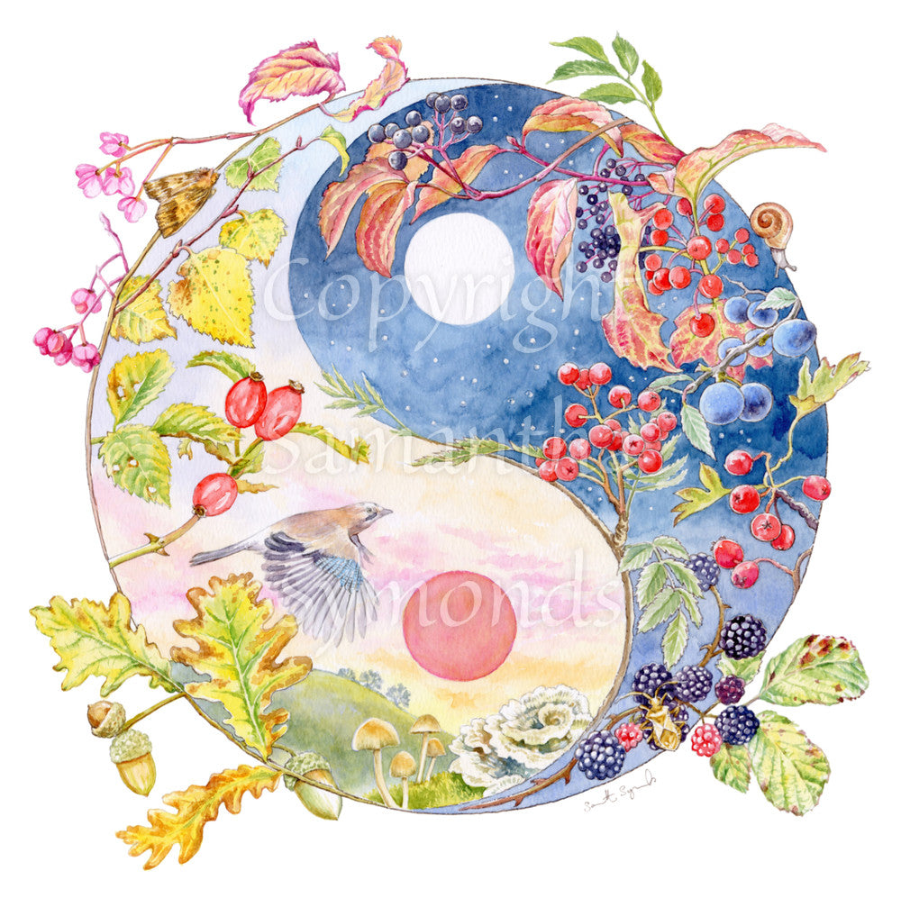 A Yin-Yang shape is surrounded by branches of native trees in autumn colours and some bearing fruit. The left hand half of the shape is filled with a pink/pale orange sky, and a large red sun forms the traditional 'dot' over a grassy hill. Autumn leaves and berries overlay the sky, a jay sings flies over, and fungi sit at the bottom. A moth sits on the outside curve. The right hand half features a dark blue sky with stars, with a white moon forming the 'dot'. Autumn leaves and berries overlay the scene.