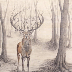 Two new wintery nature-themed cards from Jacqueline Byrne :)
