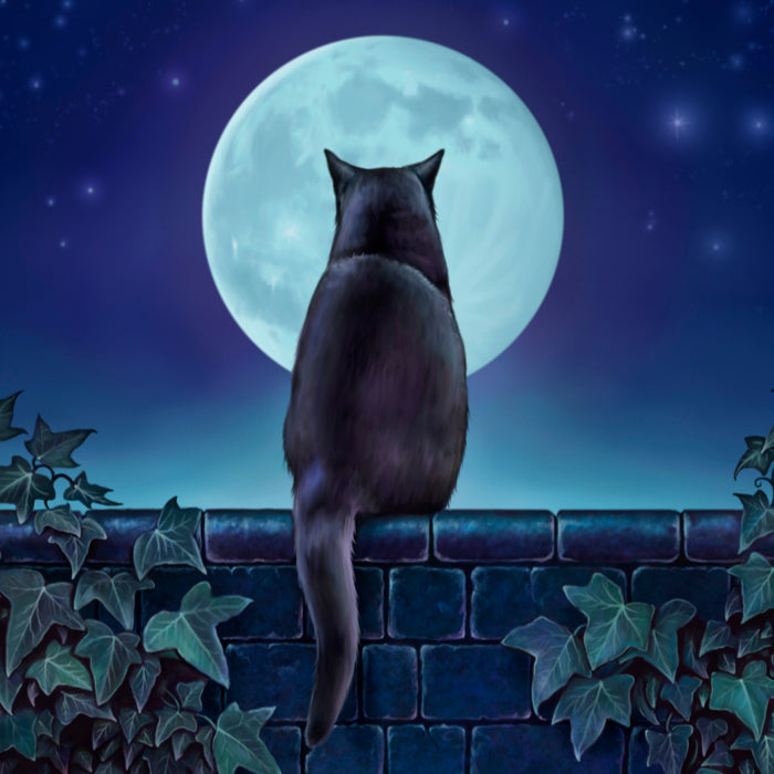 Cat Cards