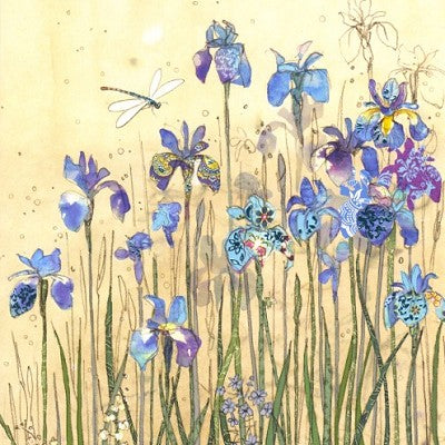 Wildlife and Nature Cards