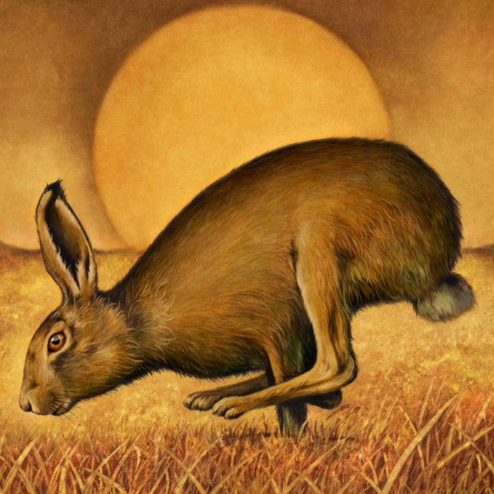 Wildlife and Nature Gift Ideas