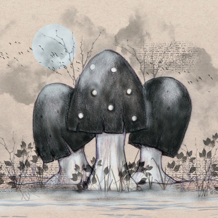 Prints by Tina M Walker