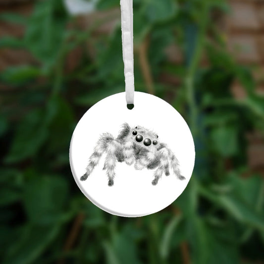 Black and white pencil drawing of a fluffy grey and white striped spider sitting at an angle facing the viewer. The appearance and posture is furry and friendly, and not intended to be scary.