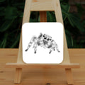 Black and white pencil drawing of a fluffy grey and white striped spider sitting at an angle facing the viewer. The appearance and posture is furry and friendly, and not intended to be scary.