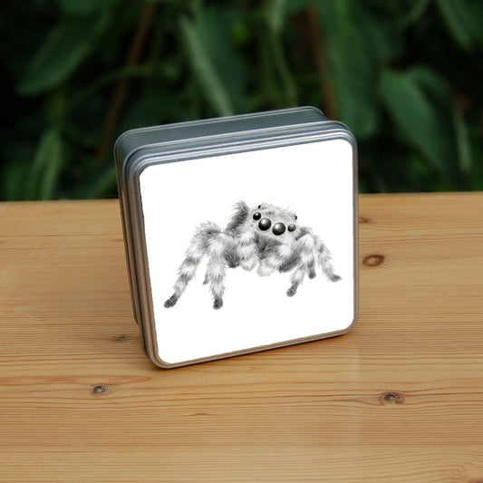 Black and white pencil drawing of a fluffy grey and white striped spider sitting at an angle facing the viewer. The appearance and posture is furry and friendly, and not intended to be scary.