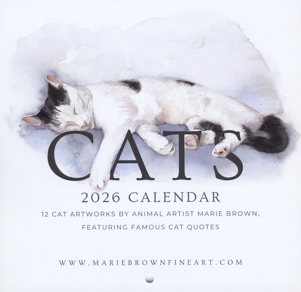 Marie Brown's Cats 2026 Calendar