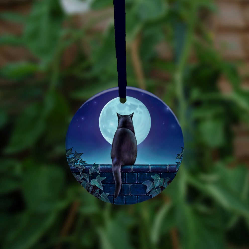 A black cat sitting on a brick wall at night looking towards the full moon. There is ivy on the wall either side of the cat. Colours are mostly deep blues and greens.