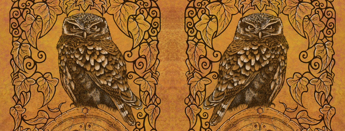 The wrap image of the mug. The owl is shown on each side of the mug. One owl is reversed, so they appear back-to-back.