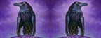 The wrap image of the mug. The image is repeated around the mug.