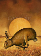 A brown hare runs from right to left, back curved, hind legs ahead of front legs. The sun rises behind, casting a golden brown glow across the sky, field and grass beneath the hare.