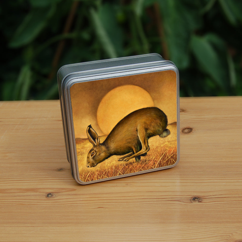 A brown hare runs from right to left, back curved, hind legs ahead of front legs. The sun rises behind, casting a golden brown glow across the sky, field and grass beneath the hare.