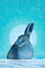 A hare crouches in snow, head turned to one side so one eye faces the viewer. Snow is falling, and a pale wintery sun shines behind. The design is coloured in shades of blue and turquoise, including the hare, which appears blue except for a deep orange eye.