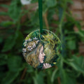 Circular hanging ornament with a green ribbon: A young woman with a garland of pale flowers in her hair closes her eyes as she moves to kiss a green man.