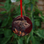 A hanging ornament on a red ribbon: A hedgehog shuffles through crisp brown autumn leaves lying on the ground. Woven branches rise upwards, and a leaf falls towards the ground. Colours are browns and reds.