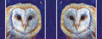 The wrap design of the image. The owl design appears once on each side of the mug. One of the owls is reversed so they face each-other.