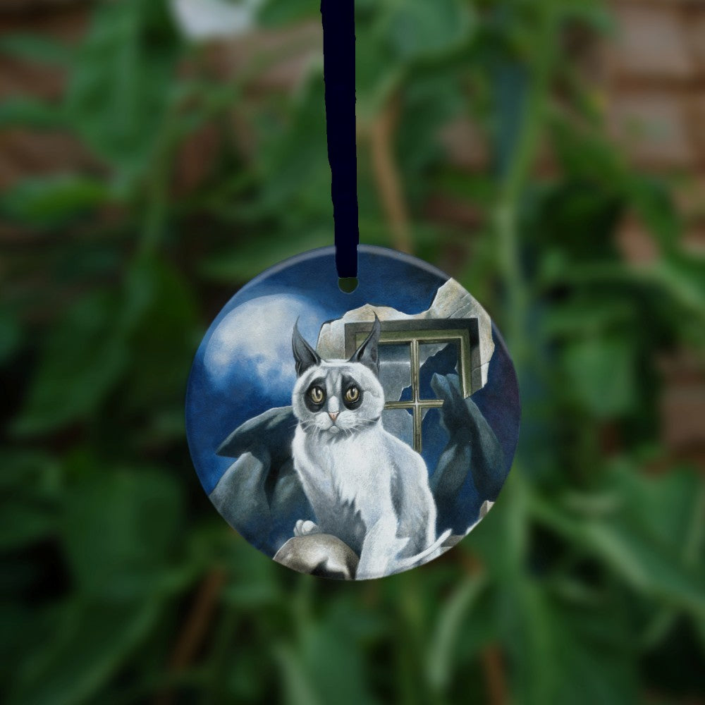 A white cat with black fur around the eyes and black ears sits perched on a skull and looking towards the viewer. In the background is a megalith, a broken window and a full moon rising from behind clouds. Colours are deep blue, grey and light brown.