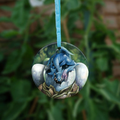 A blue baby dragon crouches on top of a broken egg, facing the viewer. More unhatched eggs can be seen around the first egg. The egg rests on a bed of rock and roots.