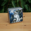 A white cat with black fur around the eyes and black ears sits perched on a skull and looking towards the viewer. In the background is a megalith, a broken window and a full moon rising from behind clouds. Colours are deep blue, grey and light brown.