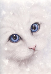 Winter Cat