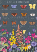 Simple illustrations of butterflies with the name of the butterfly underneath, including a red admiral, common blue, painted lady, brimstone etc. Across the bottom are a cluster of flowers with butterflies nestled within them. The background is dark grey.
