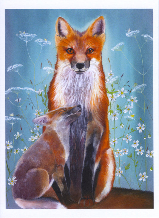 A red fox sits upright looking directly at the viewer. A much smaller fox sits leaning against the first, head tilted upwards, eyes closed. They're surrounded by stems of white stitchwort and cow parsley flowers set against a teal background.