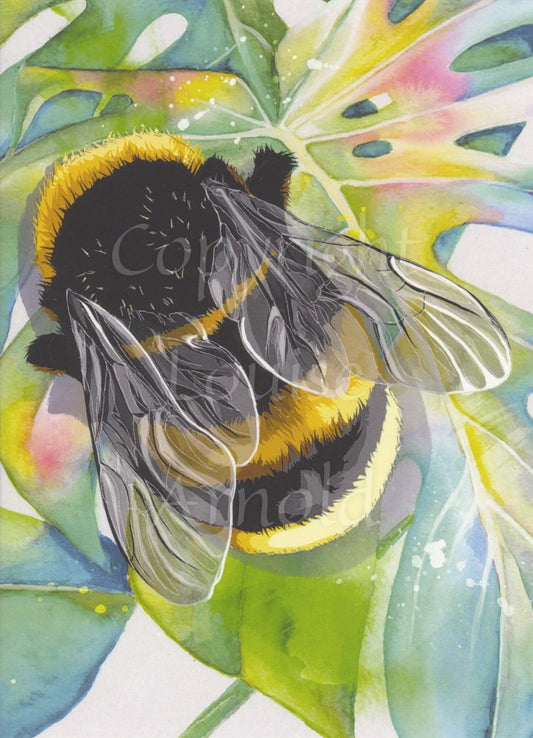 A large yellow and black bumble bee, viewed from above, sits on a colourful cheese plant leaf.