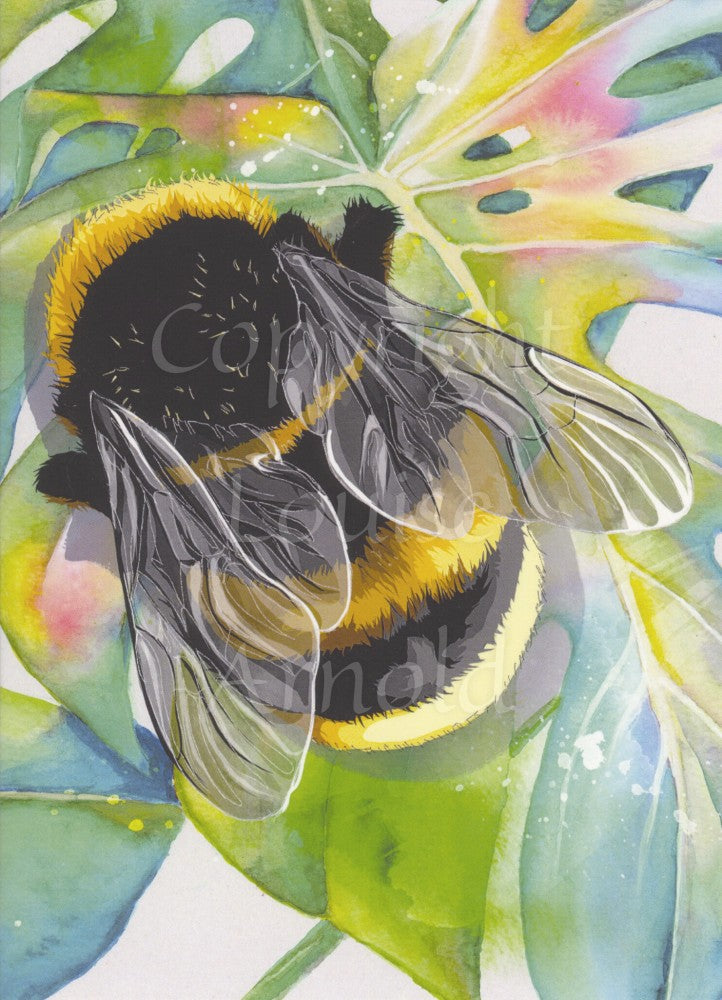 A large yellow and black bumble bee, viewed from above, sits on a colourful cheese plant leaf.