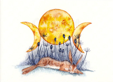 A brown hare sleeps stretched out on the ground, head resting on one leg. Skeletal flower heads and seed pods stand behind him, and a golden triple moon rises above.