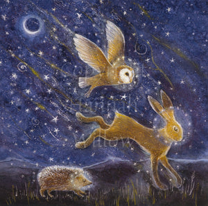 A barn owl, hare and hedgehog fly, leap and run across a field. Translucent circles of stars surround their heads. The background is a swirly, streaky, starlit night sky.