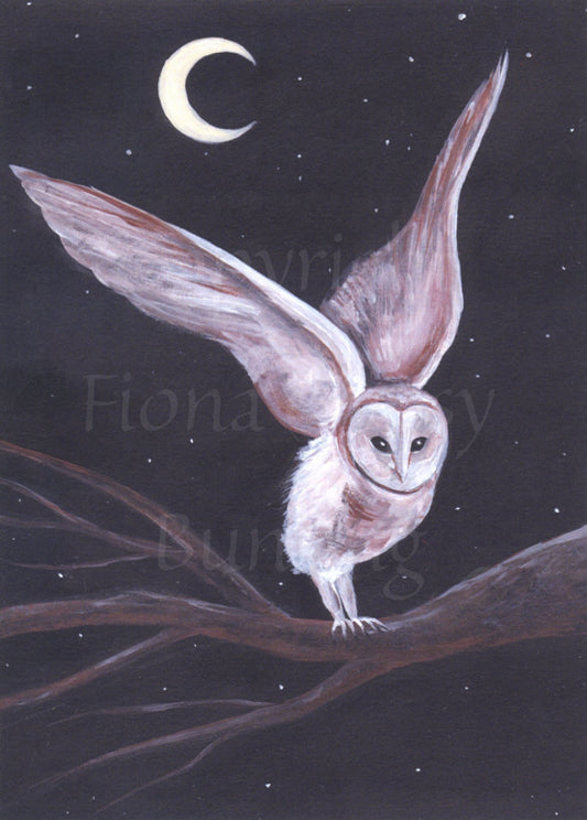 A barn owl stands on the bare branch of a tree, wings out and back as though taking off or landing. The owl stands against a starlit night sky. A crescent moon shines above.