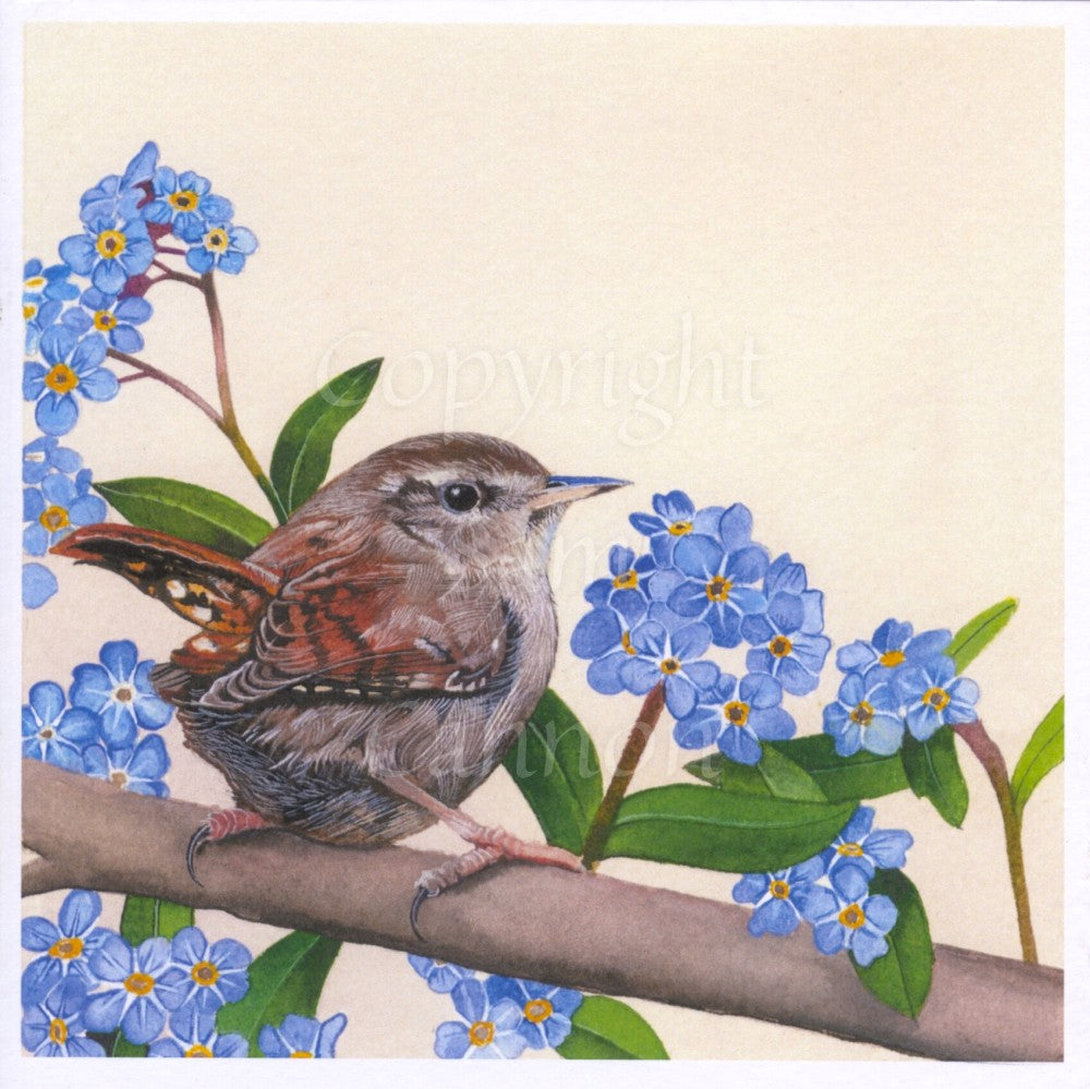 A wren sits on a branch, body facing away but head turned towards the viewer. The branch and bird are surrounded by stems of forget-me-not flowers. (Forget-me-nots are small, bright blue flowers with a yellow centre, and flower in clusters on a stem.)