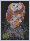 Two white and brown owls sit close together facing towards one-another. Their round white faces overlap, giving the impression of there being only one face (two eyes and one beak). Beneath them a hedgehog is curled up asleep, surrounded by pink flowers, green leaves, and tiny white flowers. The background is a star-spotted night sky.