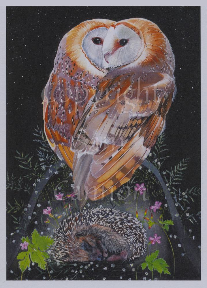 Two white and brown owls sit close together facing towards one-another. Their round white faces overlap, giving the impression of there being only one face (two eyes and one beak). Beneath them a hedgehog is curled up asleep, surrounded by pink flowers, green leaves, and tiny white flowers. The background is a star-spotted night sky.