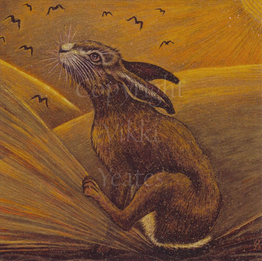 A hare looks toward the sky, thumping one hind leg against the ground. A flock of birds flies over sunlit, golden fields.