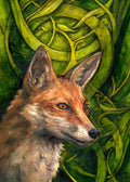 The head and neck of a red fox, their face angled towards the front right. The background consists of swirls of branches and leaves in a rich green colour.