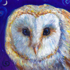The head of a barn owl, looking directly at the viewer. The background is deep blue.