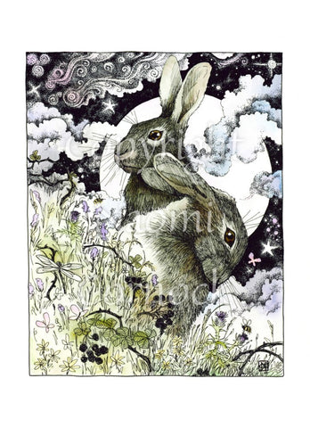 The head and body of two hares, one sitting upright facing to the left, the other, head down, facing right. They're in a meadow full of flowers, berries, butterflies, bees and dragonflies. Behind them a full moon rises surrounded by wispy, swirly clouds.