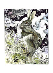 Hares in the Hedgerow