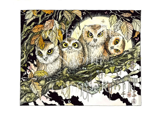 Four owls sit on the branch of a tree looking towards the viewer. One owl at the end has his head tilted sideways. Brown leaves splay down from above and a full moon shines behind them. Clouties and other offerings are wrapped around a branch below them.