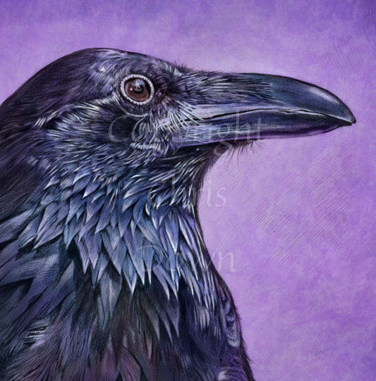 A side view of the head and neck of a raven with lots of feather detail. The raven is coloured black with purple shading, and the background is mottled purple.