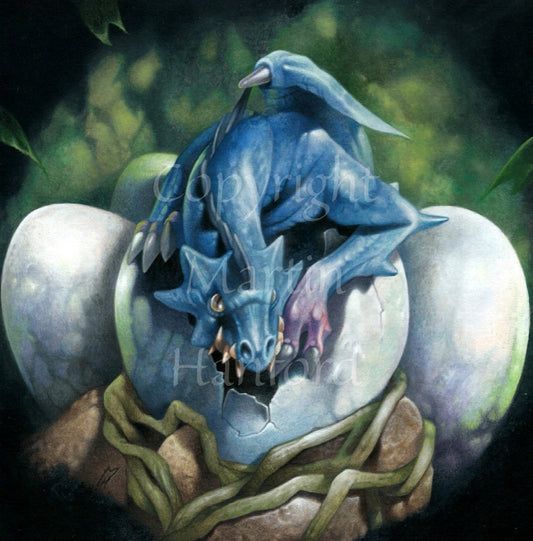 A blue baby dragon crouches on top of a broken egg, facing the viewer. More unhatched eggs can be seen around the first egg. The egg rests on a bed of rock and roots.