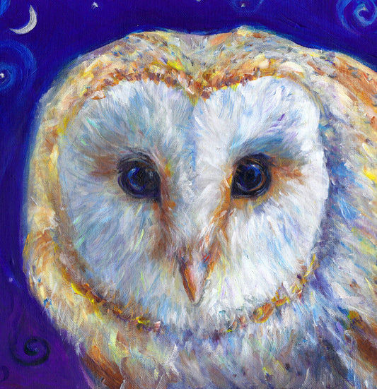 The head of a barn owl, looking directly at the viewer. The background is deep blue.