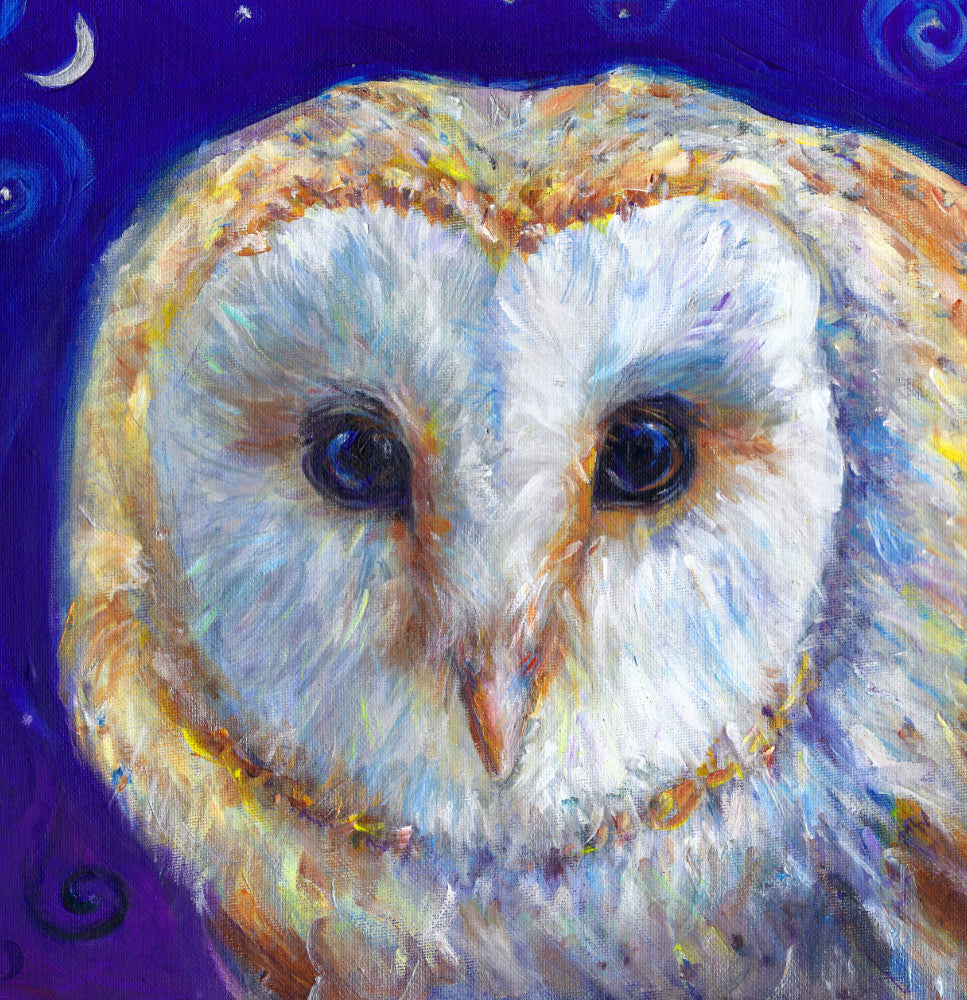 The head of a barn owl, looking directly at the viewer. The background is deep blue.