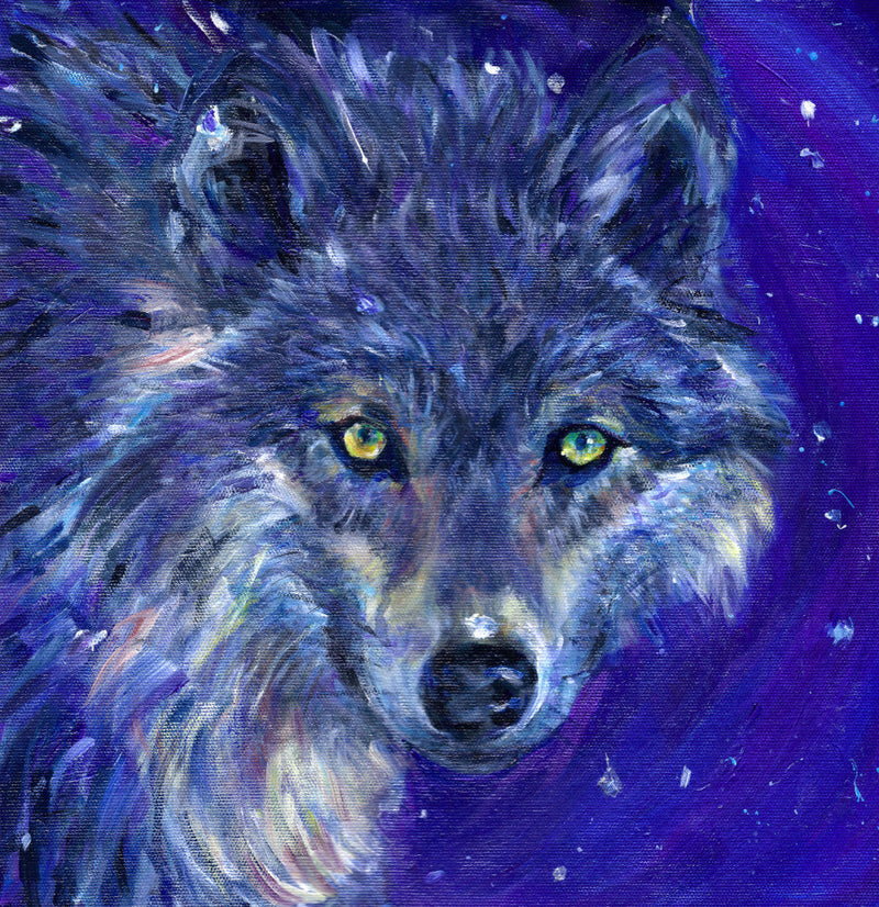 The head of a wolf, looking directly at the viewer. The overall colour of both the wolf and the background are shades of blue, with the exception of yellow/green eyes and flashes of paler fur around the neck.